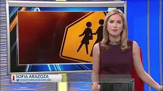 BCSD attendance lines