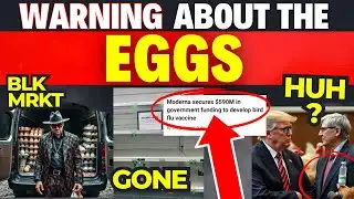 BE AWARE: It Has To Do With THE EGGS ‼️ (News)