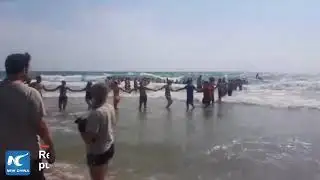 Beachgoers form human chain to rescue swimmers