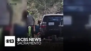 Bear breaks into minivan while Cool couple celebrates anniversary with camping trip