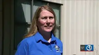 Bear cubs rescued after mother shot and killed