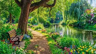 Beautiful Relaxing Music 2026 🌿Stop Overthinking, Reduce Stress & Relax Deeply #1