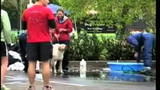 Beaver News: Pet Day