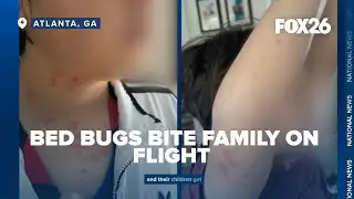 Bed Bugs Bite Family on Delta Airlines Flight, lawsuit says