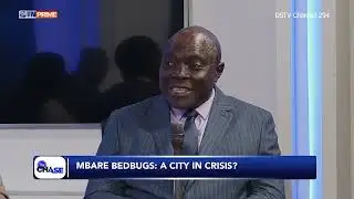 Bedbugs Not Linked to Poverty: Health Ministry Official Explains Prevention