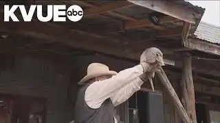 Bee Cave Bob makes prediction