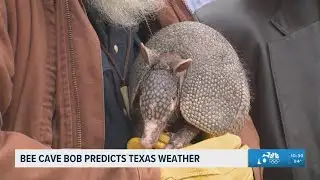 Bee Cave Bob predicts longer winter
