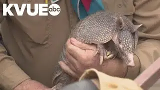 Bee Cave Bob predicts more weeks of winter