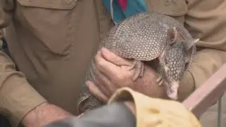 Bee Cave Bob predicts three more weeks of winter for Central Texas