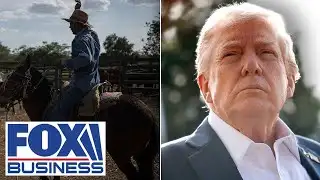BEEF OVER BEEF PRICES?: Trump vows to support cattle ranchers