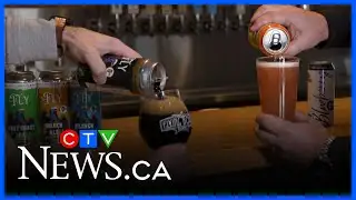 Beer without buzz, but all the flavour