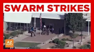 Bees attack Queen Creek students outside school