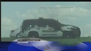 Bees Swarm Police Cruiser