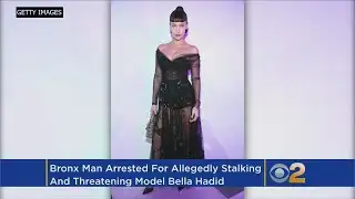 Bella Hadid Alleged Stalker Arrested