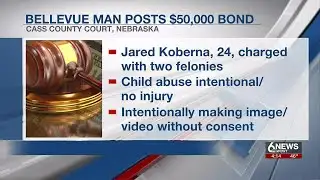 Bellevue man posts $50,000 bond in child abuse case