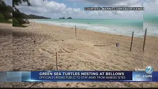 Bellows closed until September 4