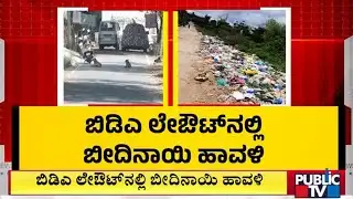 ಬಿಡಿಎ ಲೇಔಟ್‌ನಲ್ಲಿ ಬೀದಿನಾಯಿ ಹಾವಳಿ | Bengaluru | Public Tv