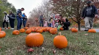 Berita Terkini ONTV: Boo Bash (17/10/25)