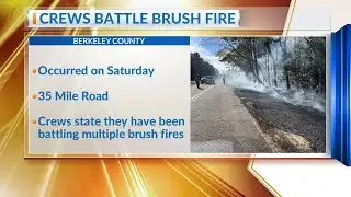 Berkeley County fire crews battle weekend brush fire