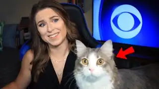 Best Cats News Bloopers