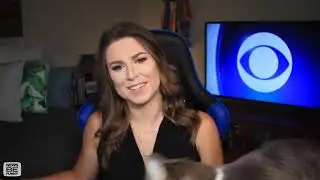 Best Cats Work From Home News Bloopers