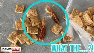BEWARE: Shrimp Tails Found In Cinnamon Toast Crunch Cereal!