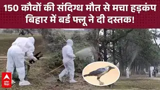Bhagalpur में करीब 150 कौवों की बर्ड फ्लू से मौत, इलाके में मचा हड़कंप