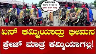 Bhima Elephant | Mysuru Dasara Jumboo Savari | ಜಂಬೂ ಸವಾರಿ ಮೆರವಣಿಗೆಯಲ್ಲಿ ಭೀಮನ ಕ್ರೇಜ್ ಹೇಗಿದೆ ನೋಡಿ