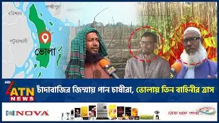 চাঁদাবাজির জিম্মায় পান চাষীরা, ভোলায় তিন বাহিনীর ত্রাস | Bhola | Extortion | Betel nut Farmer