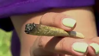 Biden marijuana pardons leave many wanting more