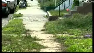 Big Dog Bites Boy, 6, Coming Home From School