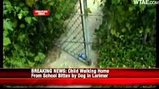 Big Dog Bites Boy, 6, Coming Home From School
