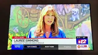 Big Dog Ranch Rescue News Coverage