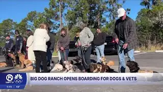 Big Dog Ranch Rescue opens massive facility to triple veteran service dog program