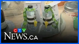 Big Game Week: Hosting