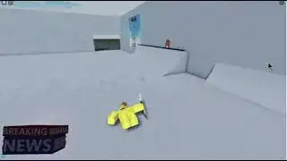 Big News! Duck Skateboarding