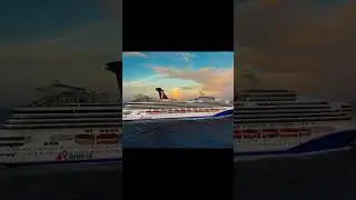 Big news for cruisers: loyalty programs just got a glow-up. More perks, quicker status, #loyaltyloop