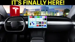 BIG NEWS - Huge Update RELEASED! | Tesla Model 3 + Model Y