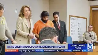 Big-rig driver in deadly Ontario multi-car crash appears in court