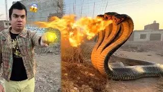 Big Snake Ny Waleed Pr Attack Kr Dea 😱 Fight Ho Gai 