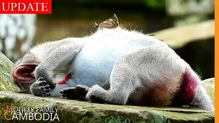 Big Tail ...Jane is Said to Give Birth Very Soon