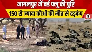 Bihar Bird Flu: भागलपुर में बर्ड फ्लू की पुष्टि, 150 से ज्यादा कौओं की मौत से हड़कंप !