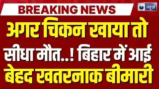 Bihar Bird flu Live: सावधान! चिकन खाने से हो सकती है ये बीमारी... | Breaking News | India News