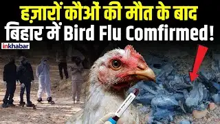 Bihar News: बिहार में बर्ड फ्लू की एंट्री, इलाके सील, लोगों में दहशत! | Bihar बर्ड फ्लू Alert!