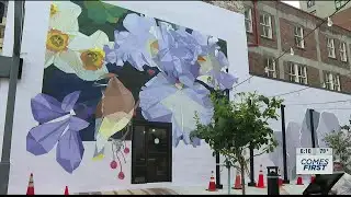 Bijou Park mural completed in downtown Wilmington