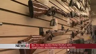 Bill to take guns from people with temporary restraining orders passes