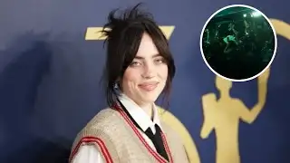 Billie Eilish aggressively pulled by fan in barricade during Miami concert