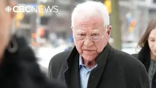 Billionaire businessman Frank Stronach