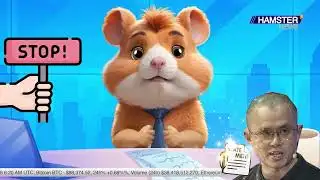 Binance found not returning - CZ - Hamster Kombat