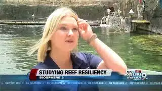 Biosphere 2 ready to help save reefs